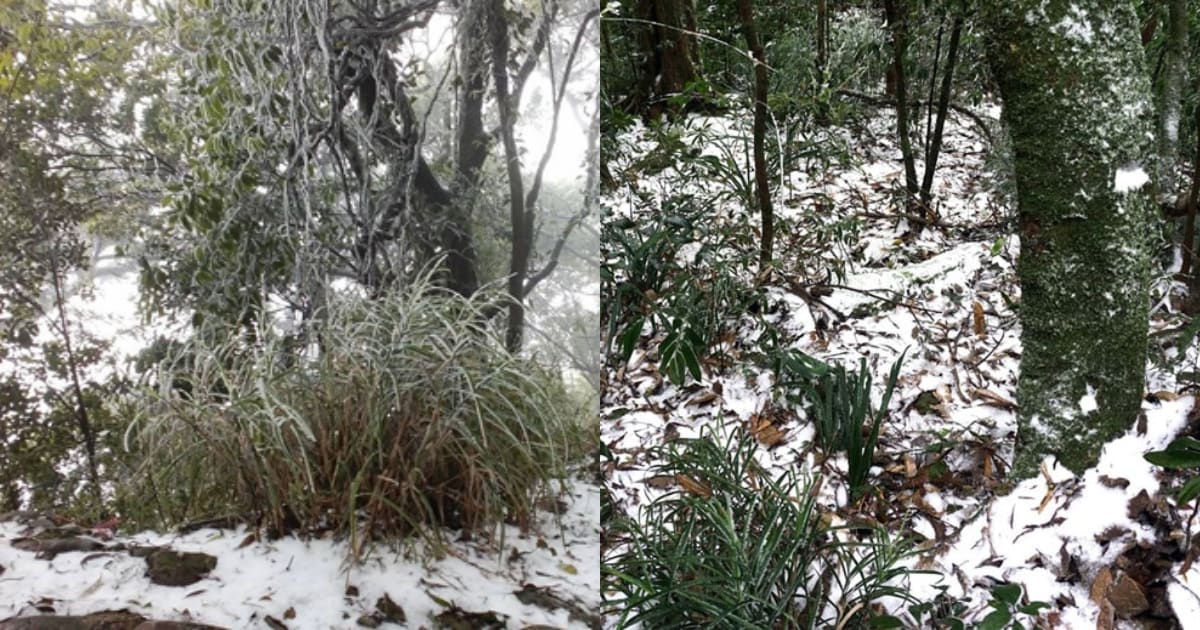 The first recorded snowfall in Ba Vi, Hanoi 